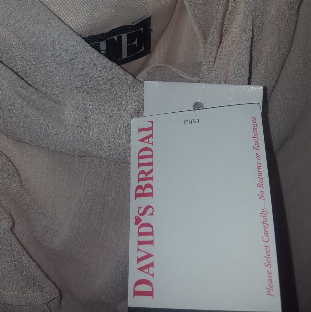 David's Bridal Maid of honor /bridesmaid's dress (Cream color)